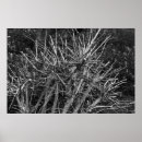 Search for pruning Gardening