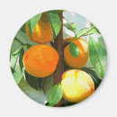 Search for peaches magnets Watercolor