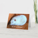 Search for fancy rat cards Rodents