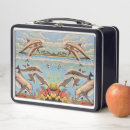 Search for dolphin lunch boxes Fish