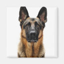 Search for dog ear magnets Animal
