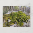 Search for headstone postcards Tombstone