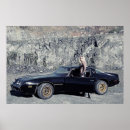 Recherche de trans am posters 1979