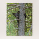Search for black bear puzzles Gordon illg