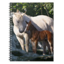 Search for horse notebooks Fantasy