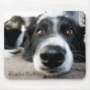 Recherche de chien border collie tapis souris Noir