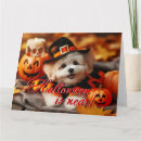 Recherche de dog halloween cards Vacances