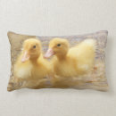 Recherche de caneton coussins Jaune