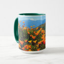 Recherche de coquelicots tasses Californie