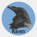 Search for black raven stickers Bird
