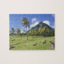 Search for historical puzzles Landscape