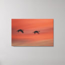 Recherche de oiseau en vol art Abstrait