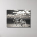 Recherche de zèbres art Toile
