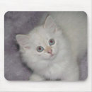 Search for kittens mousepads Pets
