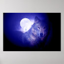 Search for blue wolves posters Wolf