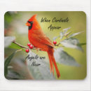 Search for cardinal electronics Computer