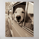 Search for whimsical animals posters Black and white