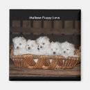 Recherche de amour de noël magnets Anniversaire