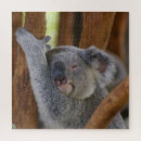 Search for koala bear puzzles Adorable