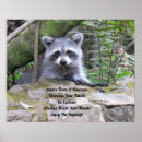 Search for funny raccoon posters Quote