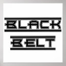 Search for martial arts posters Tae kwon do