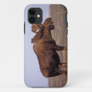 Search for alaska iphone cases Denali national park