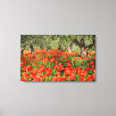Search for olive tree canvas prints Countryside