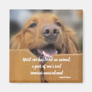 Search for until magnets Dog