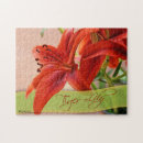 Recherche de tigers puzzles Orange