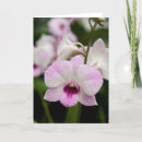 Search for blank floral cards Orchid