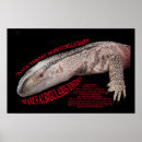 Recherche de moniteur posters Lézard