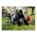 Recherche de gorilles Anniversaire