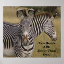 Search for zebra head posters Wildlife