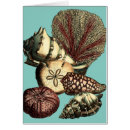 Recherche de varech cartes postales Poisson étoile