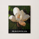 Search for magnolia puzzles Southern