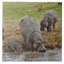 Recherche de hippopotame carreaux Afrique
