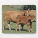 Recherche de veau vache tapis souris Vaches