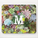 Recherche de plante tapis souris Horticulture