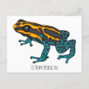 Search for dart postcards Poison dart frog