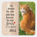 Search for kitty face stickers Cute cat face