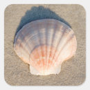 Search for sandy beach stickers Sea
