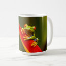 Search for red eyed tree frog mugs Amphibian