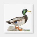 Recherche de chasseurs magnets Oiseau