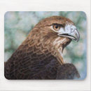 Search for red tail mousepads Bird