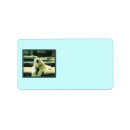 Search for polar bear return address labels Zoo