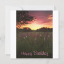 Search for foxgloves cards Flower