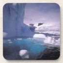 Search for antarctic barware Ice floe
