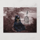 Search for native american postcards Bear