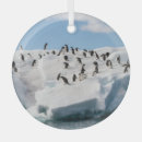 Search for penguin ornaments Landscape