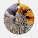 Recherche de ducks ornaments Nature